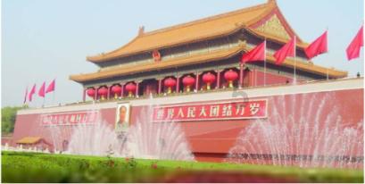 五彩鹦鹉救援
